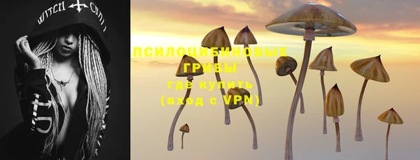 гидра Волосово