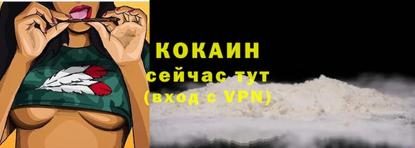 гидра Волосово