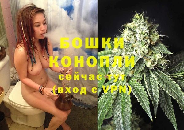 гидра Волосово