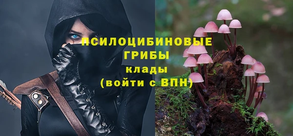 гидра Волосово