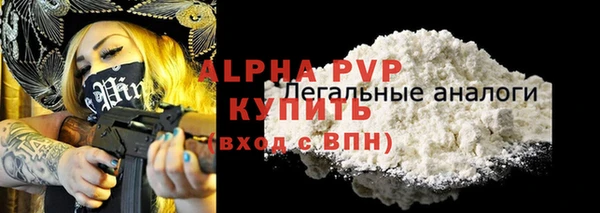 СК Волоколамск