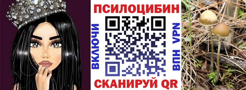 Галлюциногенные грибы ЛСД  Цоци-Юрт 