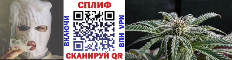 Каннабис тримм  Цоци-Юрт 
